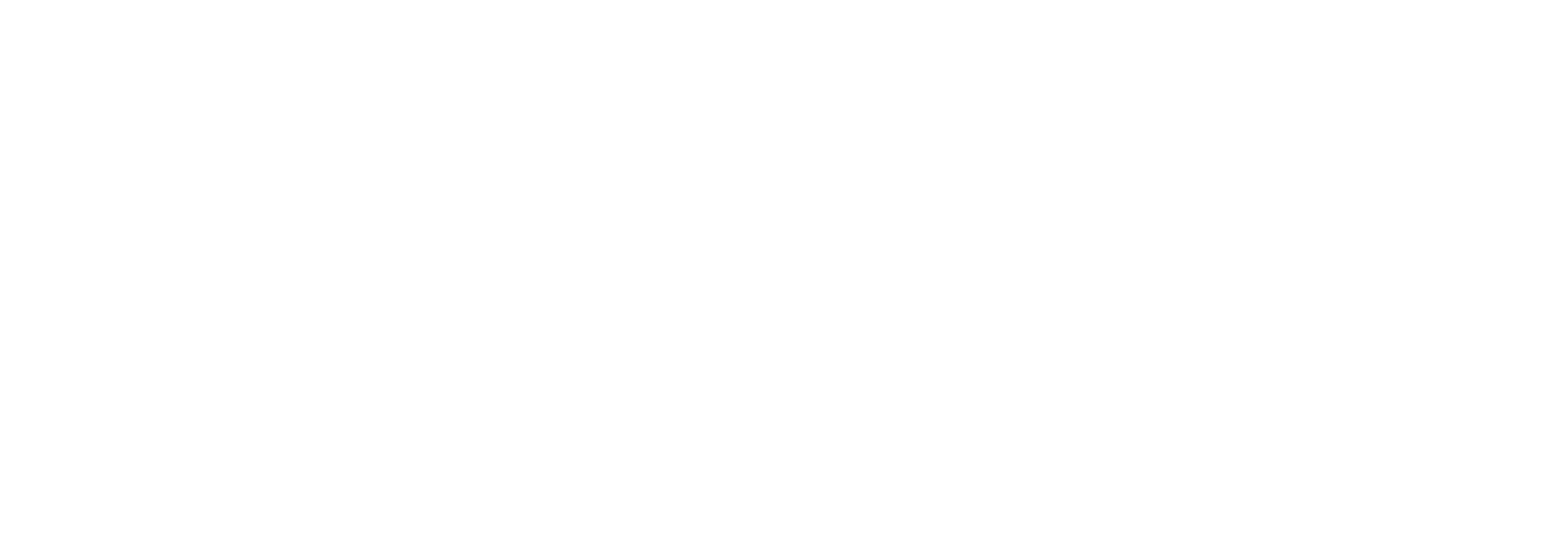 Larende Bilişim